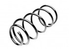 Пружины Ford Focus-2/C-max 1.8-2.0 передние (к-кт 2 ед.) Standard Springs ST110111F